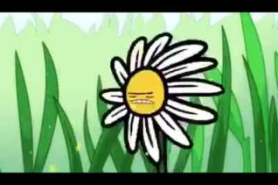 Maya the bee