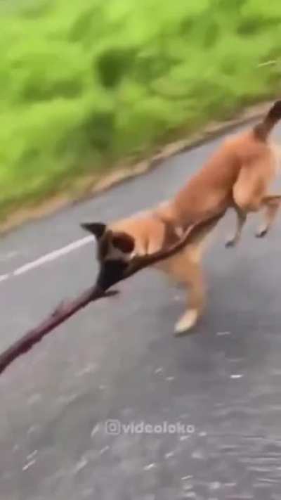 Task failed successfully