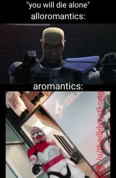 tittle required