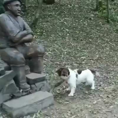 C'mon, throw it!