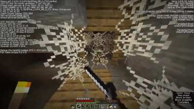 Minecraft moment