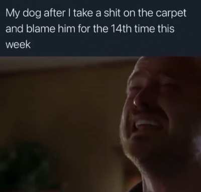 dogshit rule