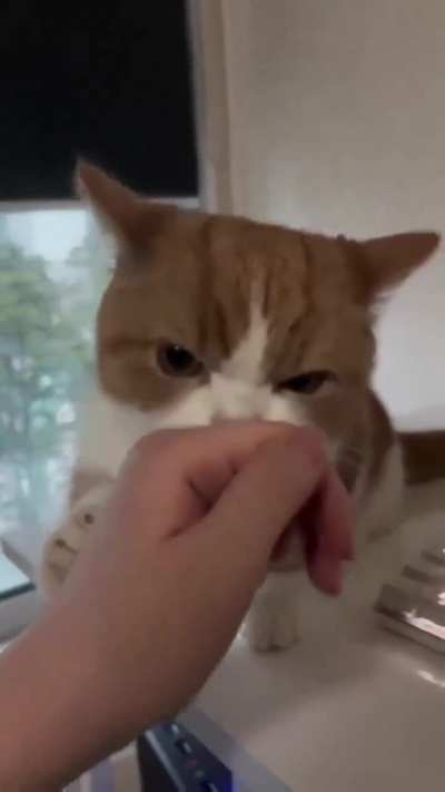 He is angry 
