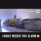 Funniest shit I've seen in a while