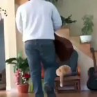 Karma by cat