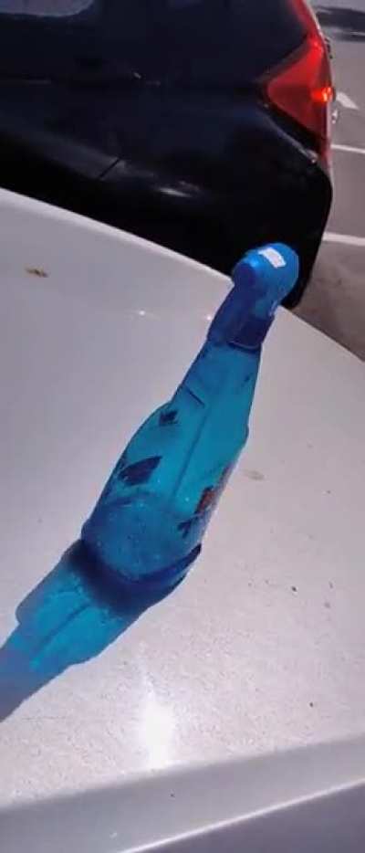 This spray bottle strutting away