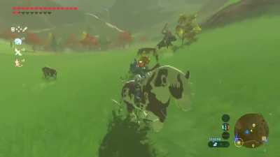 Throwback to when I got a horse tony hawk style