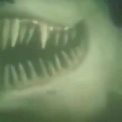 Oi rsssss