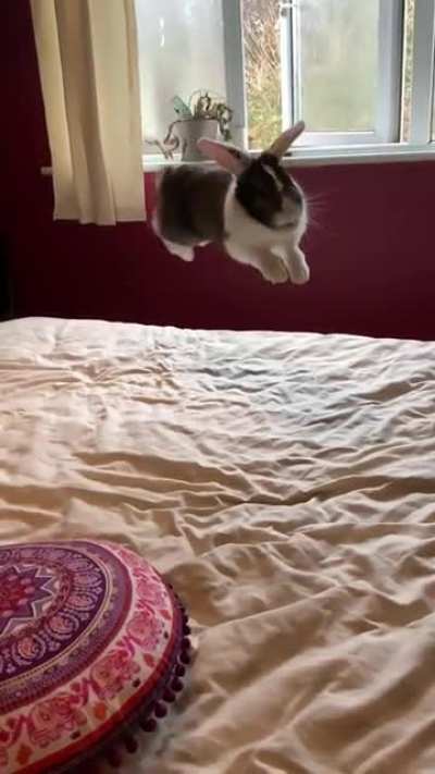 “Wanna see me catch some air!?”