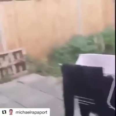 Swearing at the cat be like