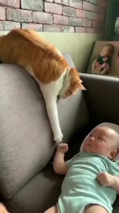 Can't resist touching the baby