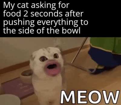Ffs Mr nibbles