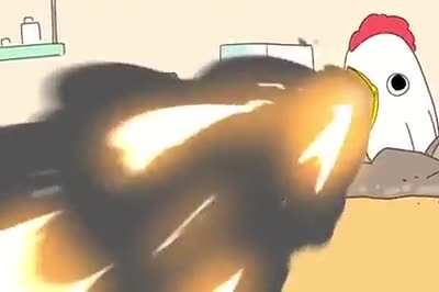 Eggrule