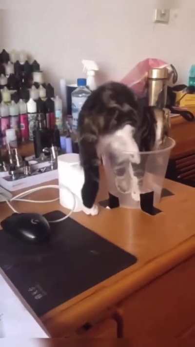 1 wunk 1 cup