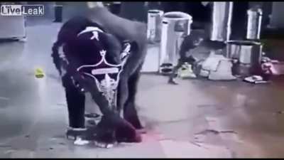 Elephant plays soccer with man