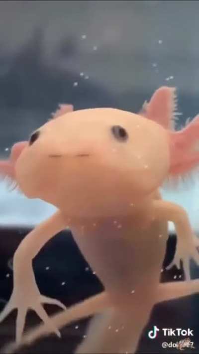 He’s coming