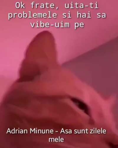 Haideti fratilor sa vibe-uim pe așa sunt zilele mele