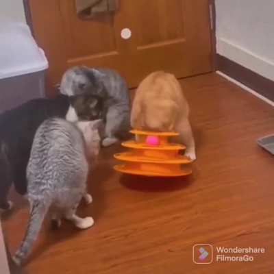 The crown is mine!