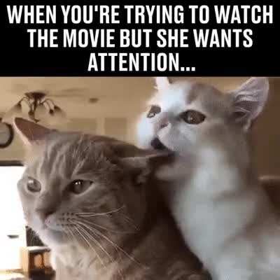 She wants attention