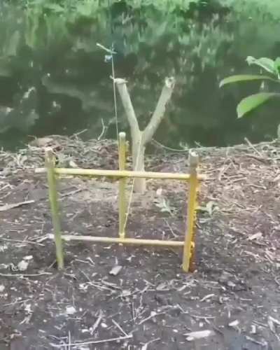 Interesting method to catch a fish........
