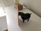 What a amazing and unexpected painting