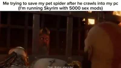 NOOOO ARAÑITAAAA