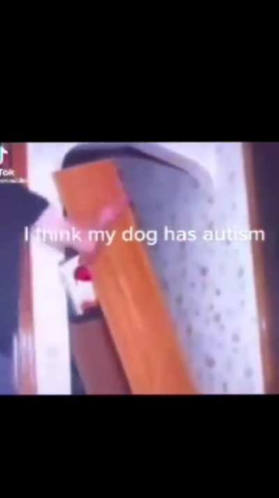 Guys help