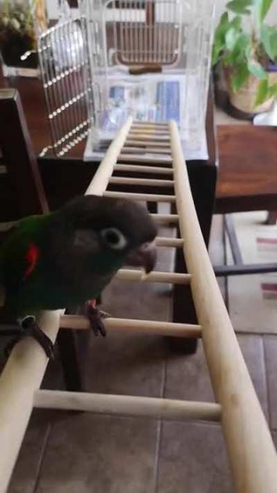 After years of neglecting his wife and kids while he climbed the corporate ladder, Roland found being at the top was... rather lonely.