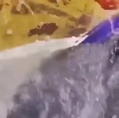 Idiots on jet skis?
