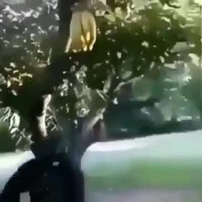 NOO-