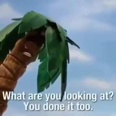 cocoNUT