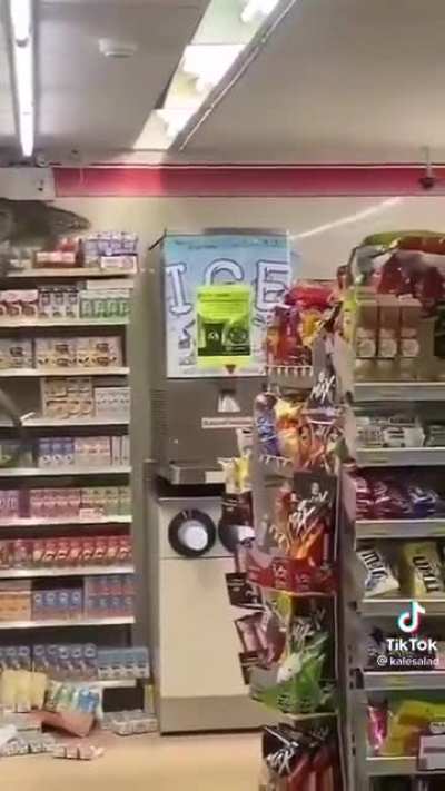 SaTaNiC NaZi LiZaRd fRoM hELL asSaulTs InNoCeNt sHeLF