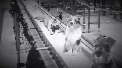 (SOUND ON) The Current State of Dogelore