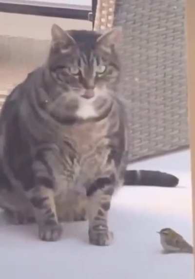 Maybe Maybe Maybe