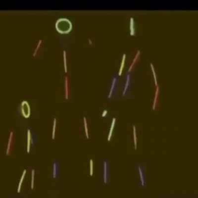AAAAAAA