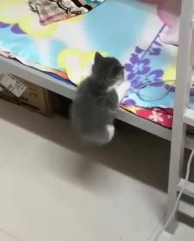 Dis bed big human