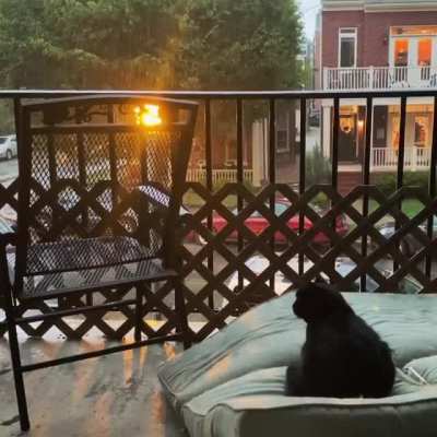 Peaceful