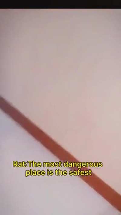 standard Dark Souls strategy