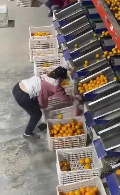 Trabalhador menos explorado do sub
