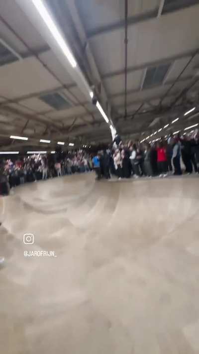 540 Crowd Plant
