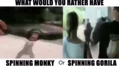 spinning monky 🙏