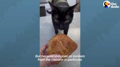 Ciabatta Craze