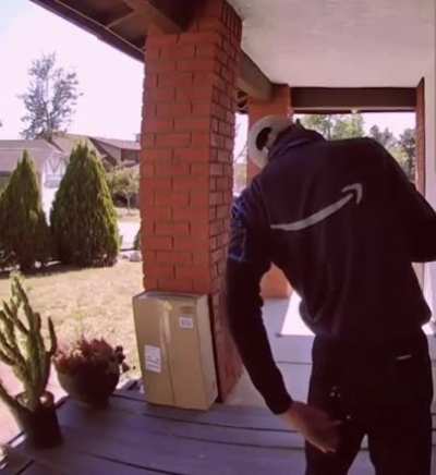 Delivery guy gets poked by cactus