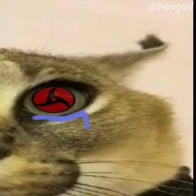 I spent over an hour on this please don't let it die in new