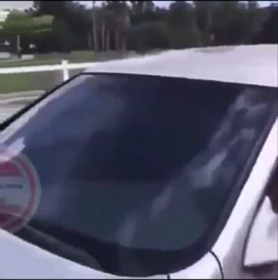 Crazy lady tries to tase women at park and gets instant karma