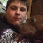 In America you don’t like dog in Soviet Russia dog dont like you