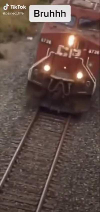 Chu-Chu train .