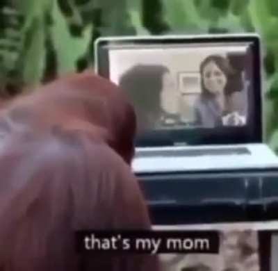 Stinky monké