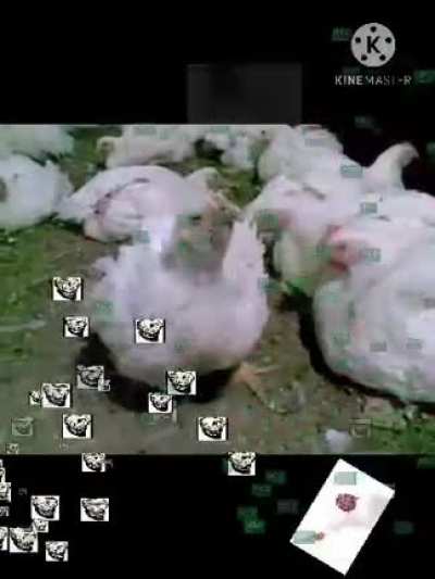 سكس عربي مضحك فيديو مجاني فائق الدقةno virus 😱😱😱🤗🤗<wbr>🤗😍😍😍😍<wbr>😍😂😂😂😂<wbr>😂😂😂😂🤪<wbr>🤪😂😂😂😂<wbr>😂😂🤣🤣🤣<wbr>🤣🤣🤣🤣🤣<wbr>🤣🤣🤣fr<wbr>ee robux admin panel 2010 no coron<wbr>aviru<wbr>s😂😂🤣🤣<wbr>😱😱🤗🤗🤗