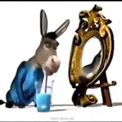 Donkey drinks g fuel